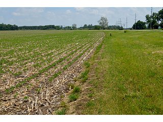 Property photo 9 - LAND AUCTION - 700+/- ACRES OFFERED IN 16 TRACTS IN ALLEN COUNTY, INDIANA